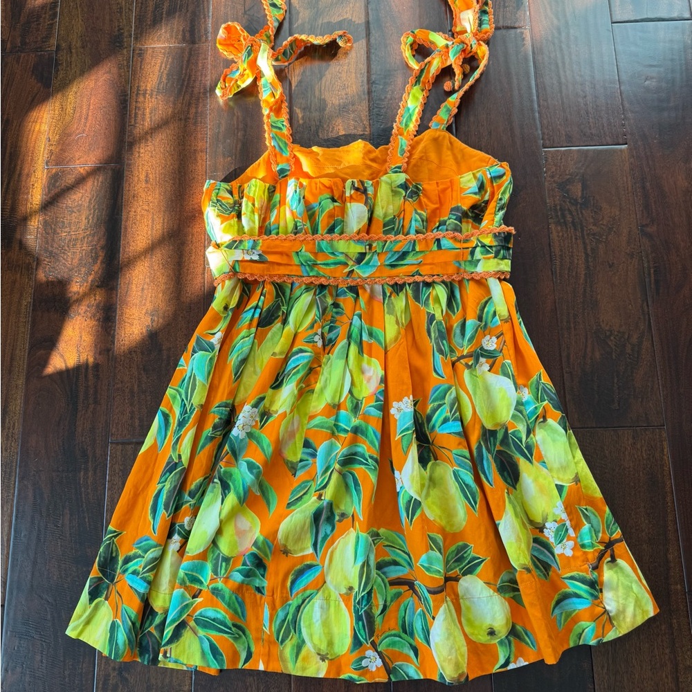 FARM Rio Chic Pears Mini Dress - Picture 8 of 12